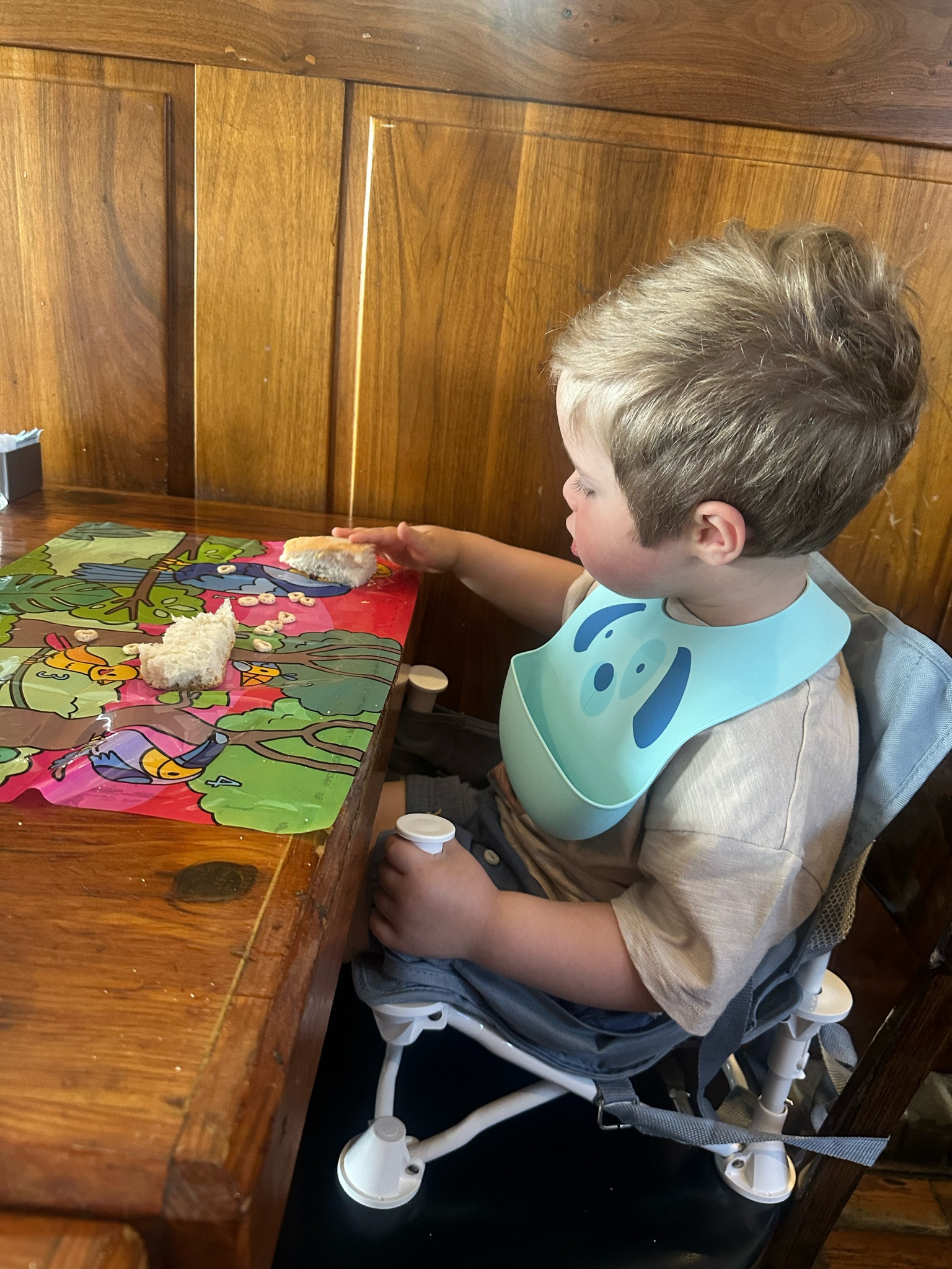 Our toddler restaurant must-haves: this travel chair (on sale for $30. Obsessed with it!), disposable place mats (these are the best & stick great to the table) plus my favorite bibs from Target.

Toddler must haves, travel must haves, restaurant must haves 

#LTKkids #LTKfindsunder50 #LTKbaby