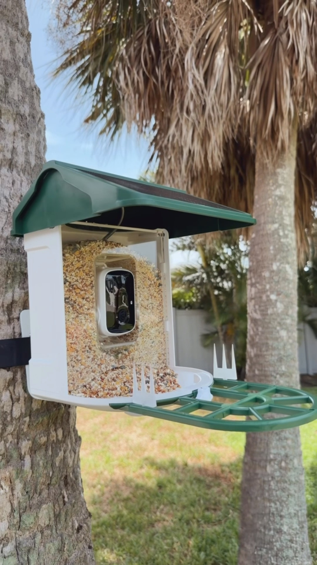 Bird feeder
Home finds
Gift ideas
Summer finds
Outdoor home

#LTKsummer #LTKhome #LTKgiftguide