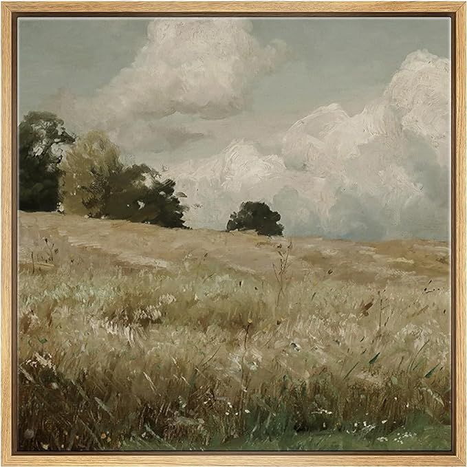 SIGNFORD Framed Canvas Print Wall Art Sweeping Meadow Landscape Rolling Fields and Cloudy Skies C... | Amazon (US)