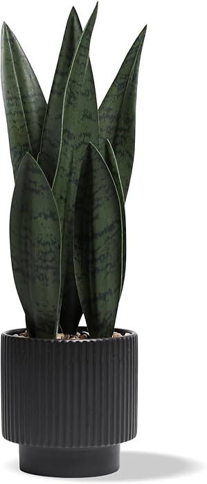 Artificial Plants Sansevieria Snake Plant with Black Ceramic Pot Desk Small Fake Plant for Indoor... | Amazon (US)