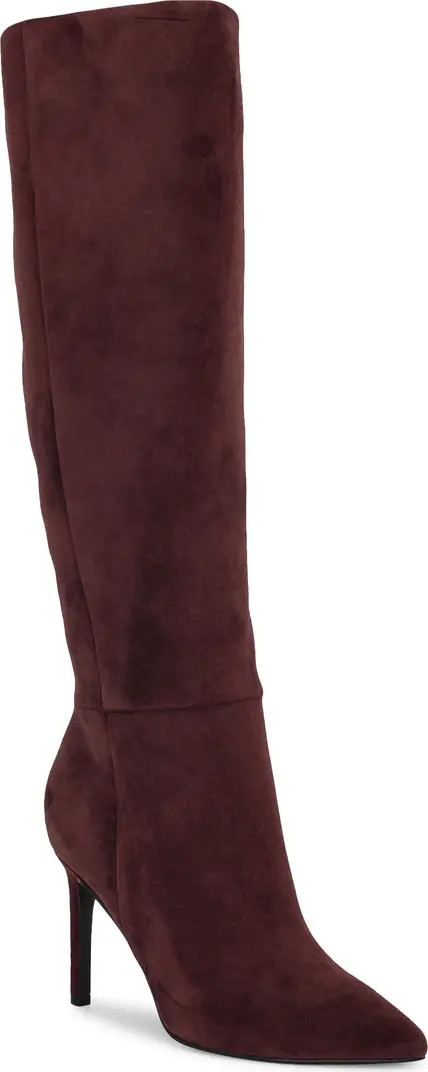 Richy Pointed Toe Knee High Boot (Women) | Nordstrom