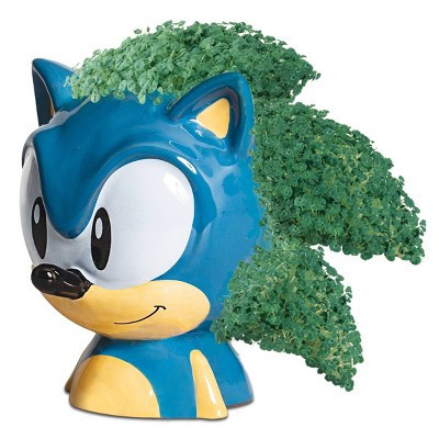 NECA Sonic the Hedgehog Decorative Chia Pet Planter | Target