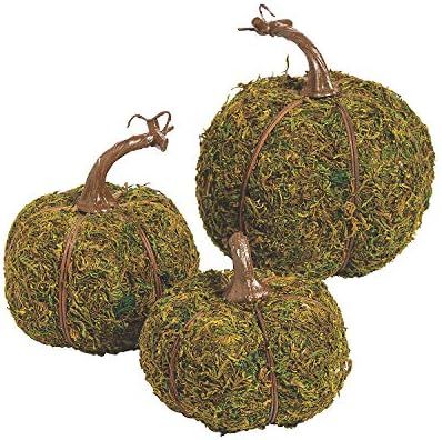 Fun Express Moss Pumpkins, 3 Piece Set - Fall and Halloween Home Decor | Amazon (US)