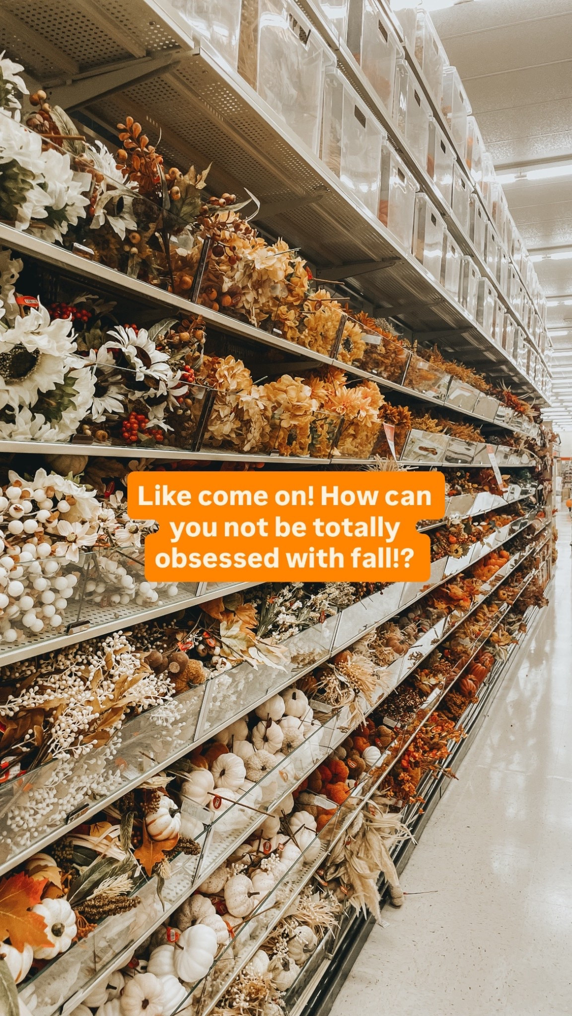 So many cute ways to decorate 

#LTKHome #LTKSeasonal #LTKautumn