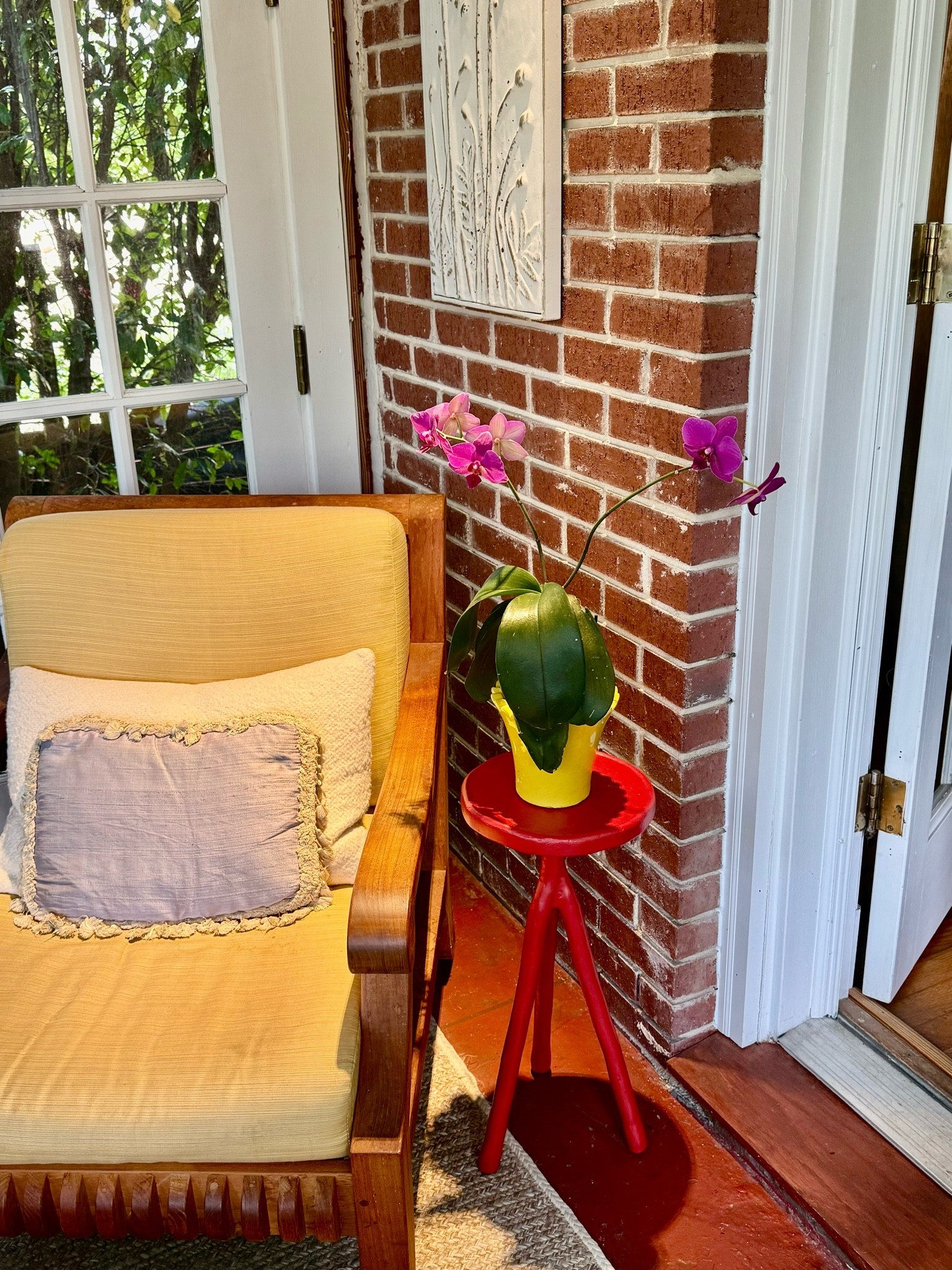 a color story in the corner of our sunroom. this is a live orchid but there are lovely artificial options to recreate this type of vibe in your home or office. the fertilizer linked below is a big part of why all my plants thrive! trust me😍

#LTKdayinmylife #LTKHome