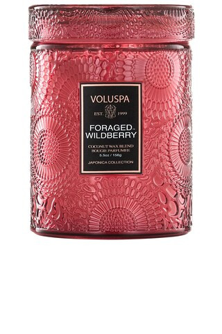 Foraged Wildberry Small Jar in Foraged Wildberry | Revolve Clothing (Global)