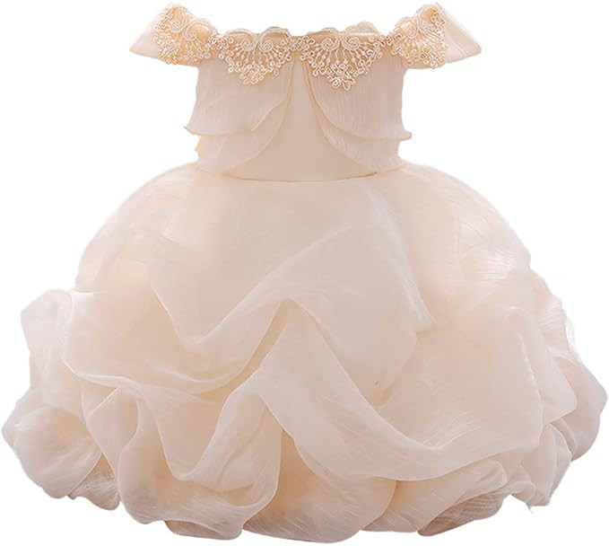 WZSYGDTC Toddler Baby Girls Flower Dress Off-Shoulder Pageant Dresses Princess Tutu Dresses | Amazon (US)