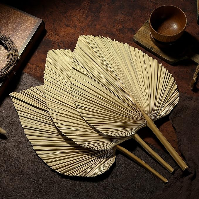 Sggvecsy Dried Palm Leaves 4 Pieces 18.1’’ Natural Dried Palm Spears Large Dried Palm Fans Dr... | Amazon (US)