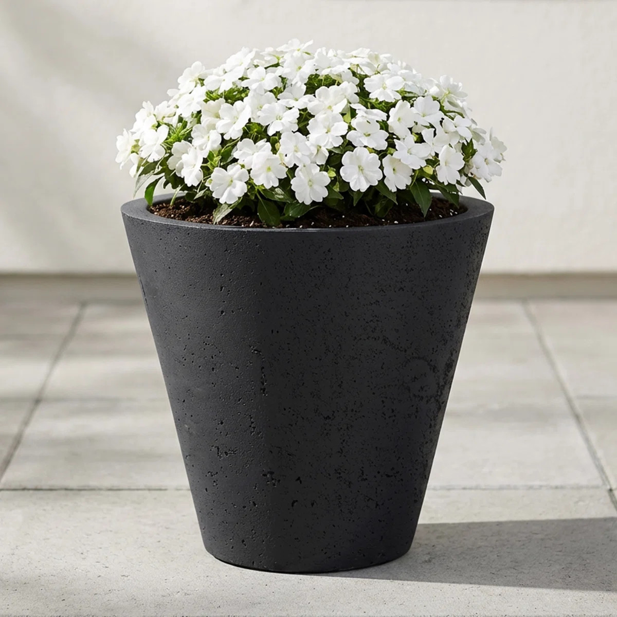 Jacey Self-Watering Concrete Texture Planter | Wayfair North America