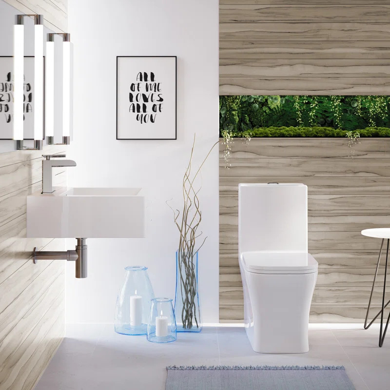 Concorde Dual-Flush Elongated One-Piece Toilet | Wayfair North America