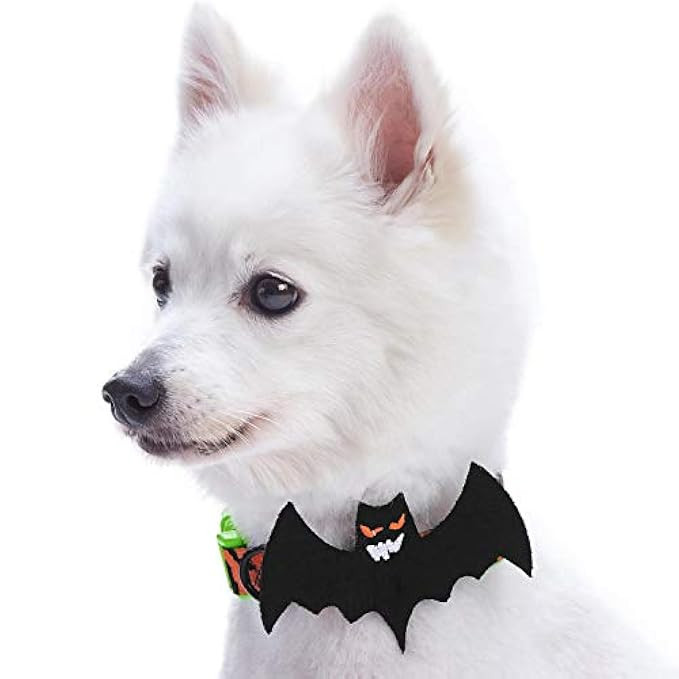 Blueberry Pet 8 Patterns Fall Halloween Thanksgiving Designer Dog Collars or 2 Patterns Collar Cover | Amazon (US)