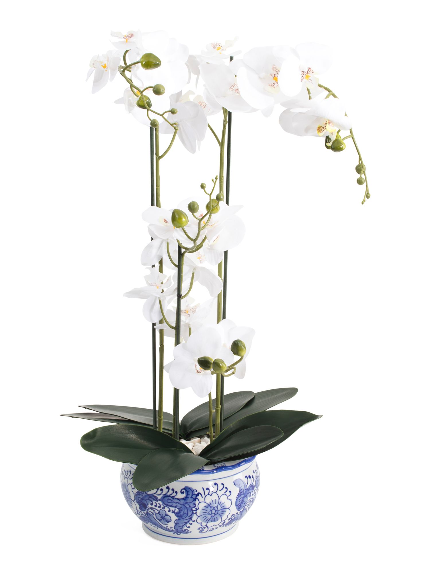 25in Real Touch Orchid In Ceramic Pot | TJ Maxx