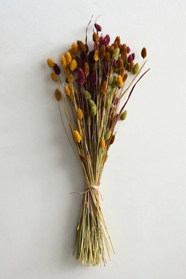 Dried Phalaris Mix Bunch | Terrain