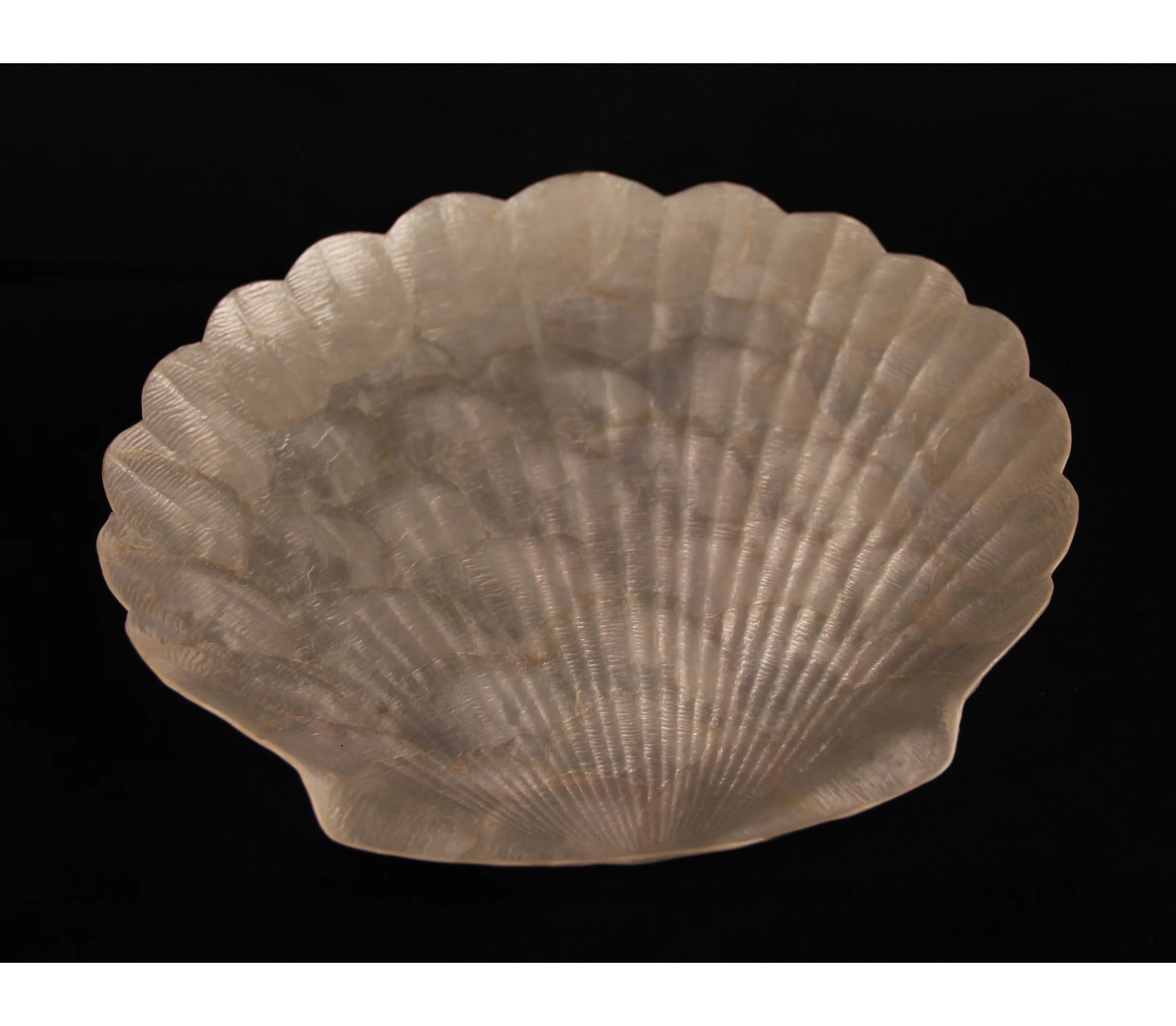 Hudson Oaks Capiz Shells Tray | Wayfair North America