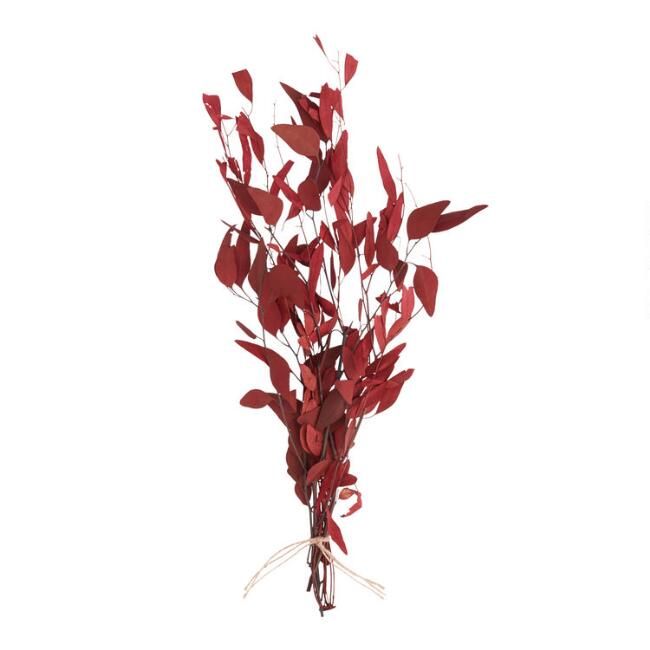 Dried Red Willow Eucalyptus Bunch | World Market