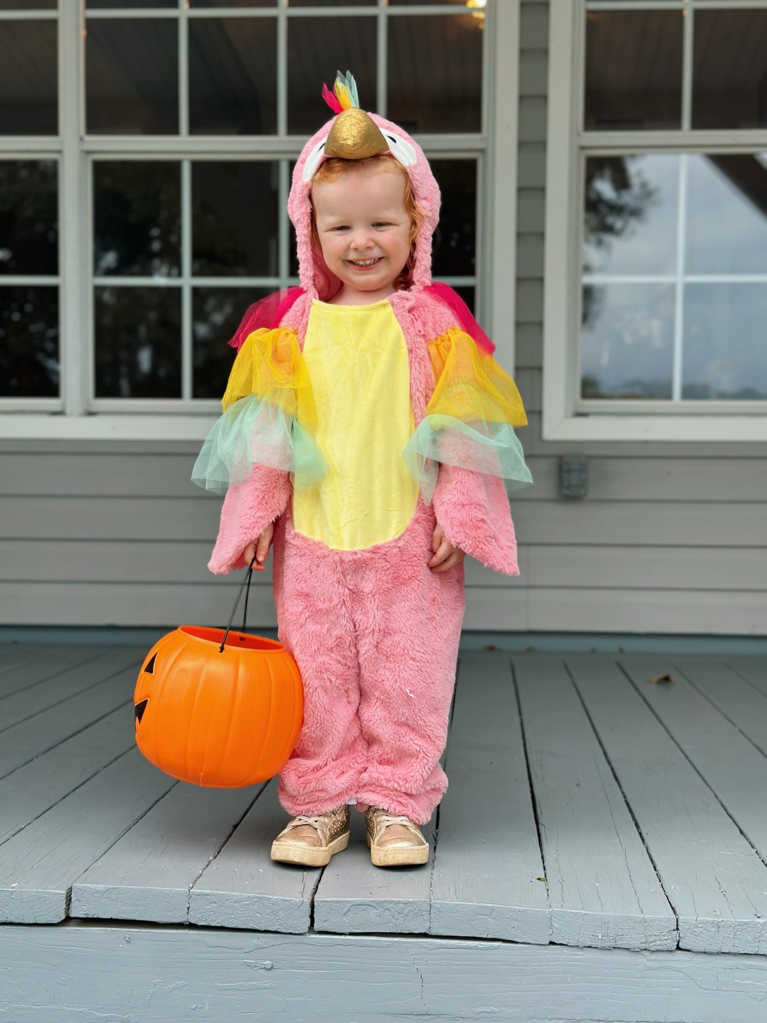 The cutest little parrot I’ve ever seen 🥹🩷 I snagged her and Jemi these for $15! Can’t beat an easy costume 👏🏻 

#LTKKids #LTKSaleAlert #LTKHalloween