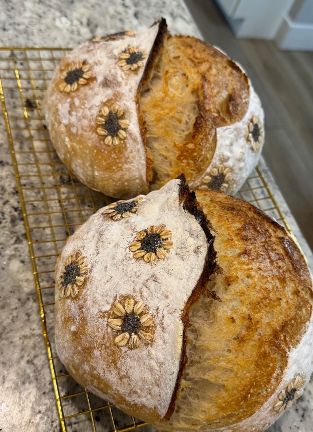 Fall time = baking time! 🍂


Sourdough, kitchen, kitchen utensils, 

#LTKFindsUnder50 #LTKU #LTKHome

#LTKSaleAlert #LTKSeasonal #LTKFindsUnder100