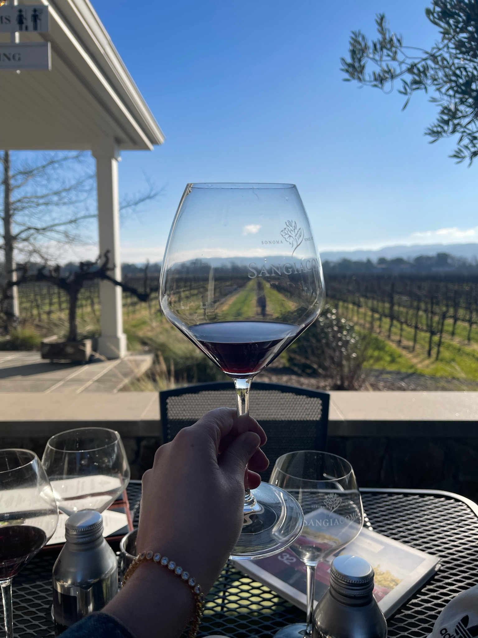 Top-selling wines from Sonoma County and Monterey you can try at home for under $20 🍷

#LTKTravel #LTKFindsUnder50