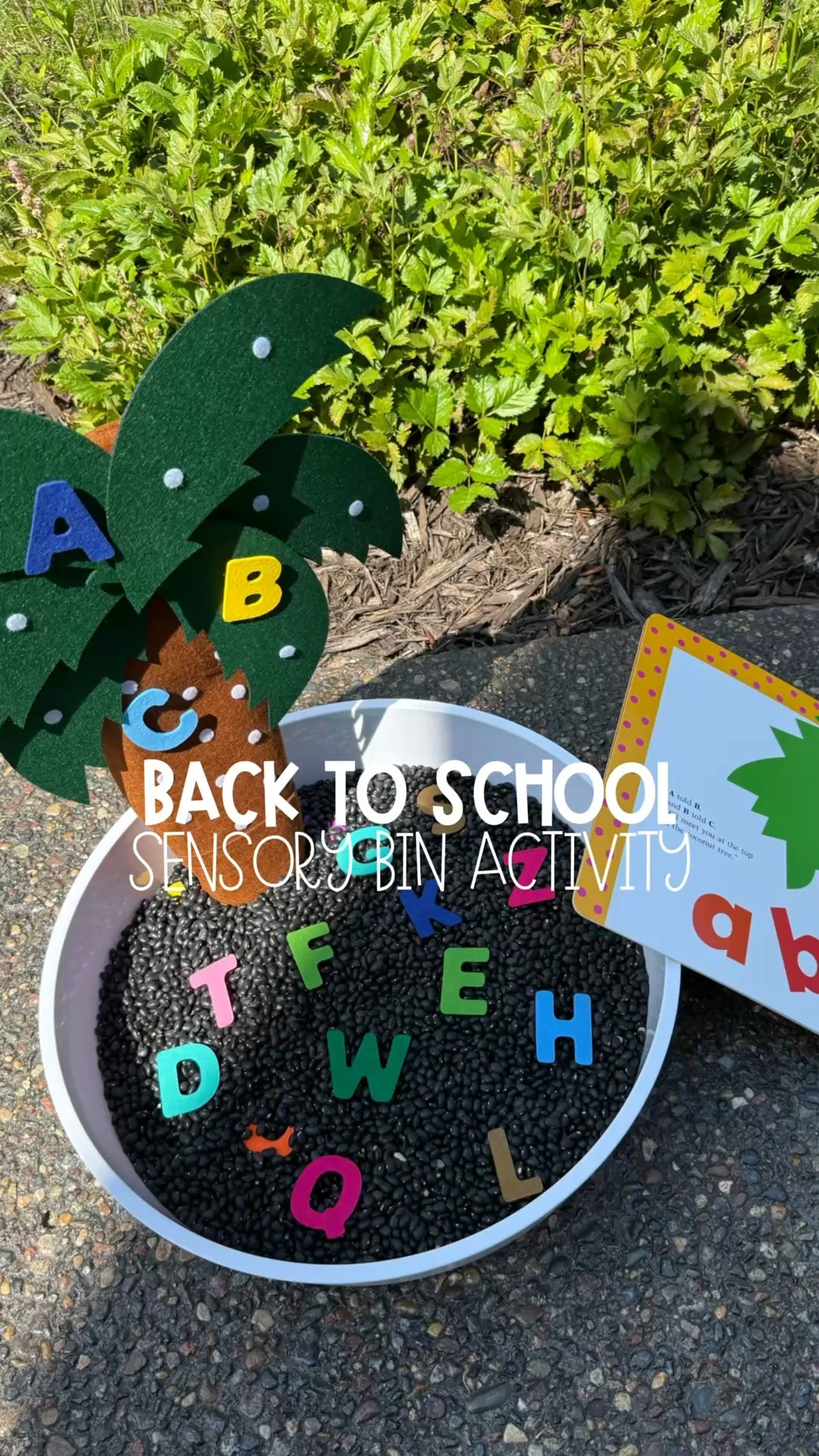🌴📚 Back-to-school sensory play idea! Inspired by Chicka Chicka Boom Boom, I set up a coconut tree in our sensory bin, hid felt letters under beans, and let my toddler scoop, dump, and retell the story as the letters climb the tree. Such a fun way to practice letter recognition, storytelling, and fine motor skills—all through play! 🥰

Pretty soon we will be starting up ECFE classes again with Macy and I can’t believe she won’t be in the baby class anymore 🥹 Such a big girl in the toddler class where by the end of the year we will do some time separate, can’t believe how quickly it all goes! 🥺 

I’ll have our favorite @inspiremyplay sensory bin and the chicka chicka boom boom tree linked in my LTK if you want to try this one out yourself! 

If you have babies and/toddlers do you do ECFE classes with them? 💛

#toddleractivity #sensorybin #learningthroughplay #kidsactivities #sensoryplay

#LTKKids #LTKSeasonal #LTKFamily