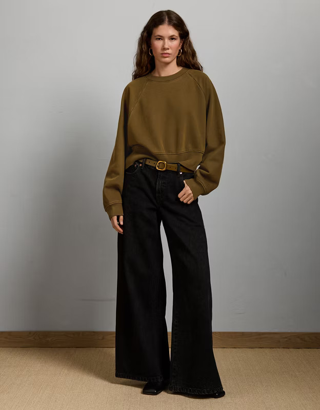 AE77 Premium Cropped Fleece Sweatshirt | American Eagle Outfitters (US & CA)