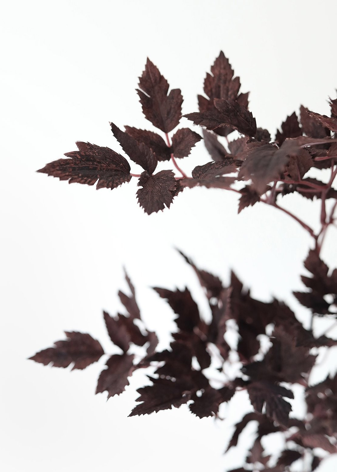 Plum Purple Fake Cimicifuga Ramosa Fall Leaves - 31" | Afloral (US)