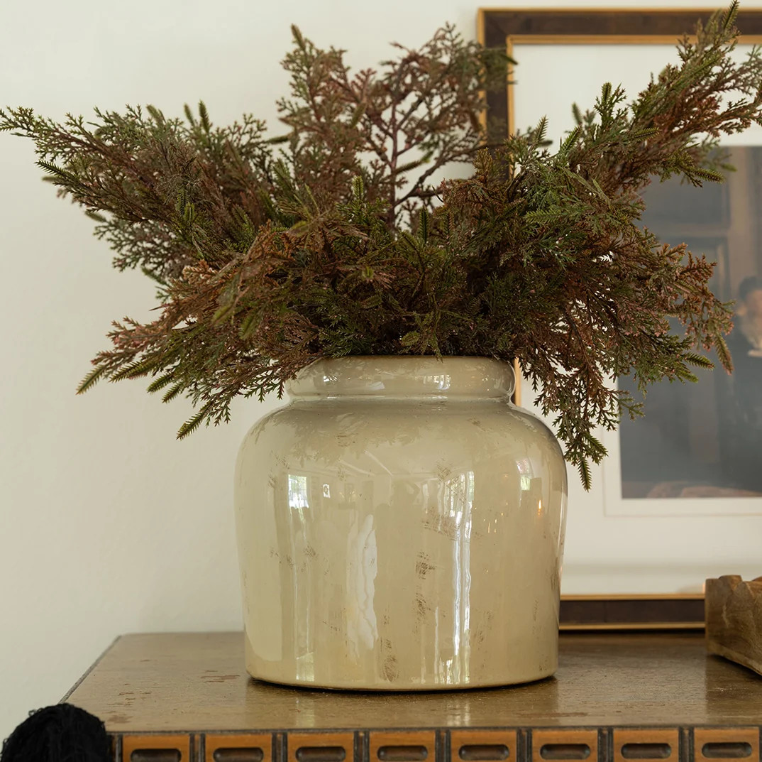 Cedar Spray Stem | Elements by Remedy