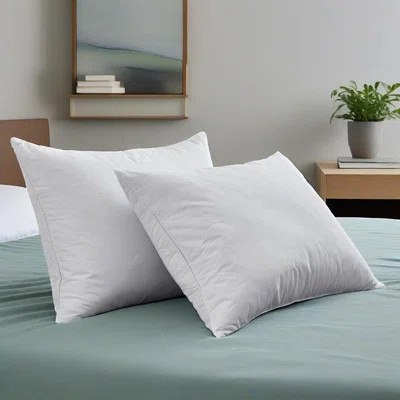 Cloud Quilted Grey Goose Feather Pillows | Wayfair North America