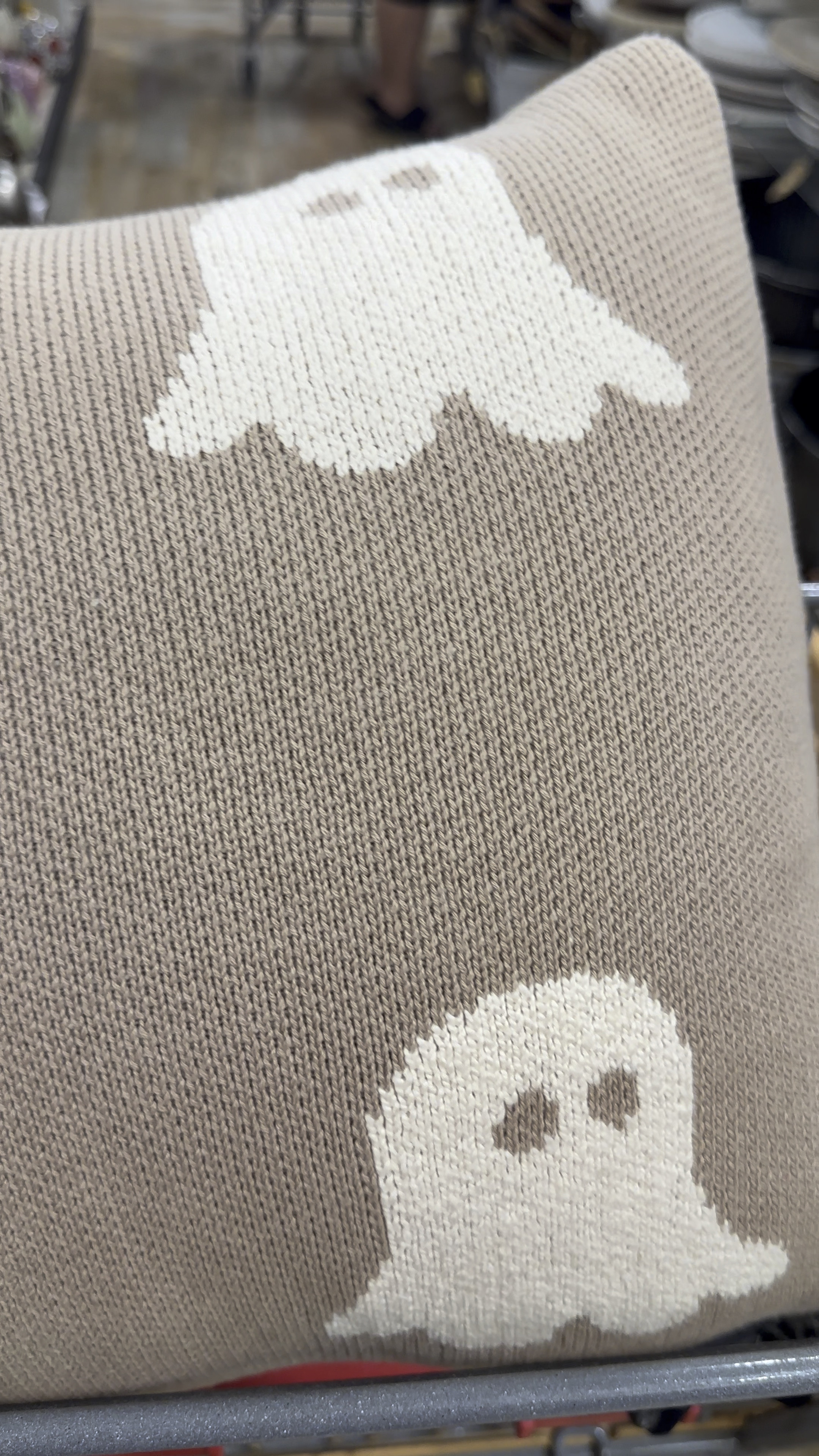 I’m so in love with this neutral ghost pillow! I’m still on the hunt for the matching blanket, but this is such a great find! 

#LTKSeasonal #LTKHome