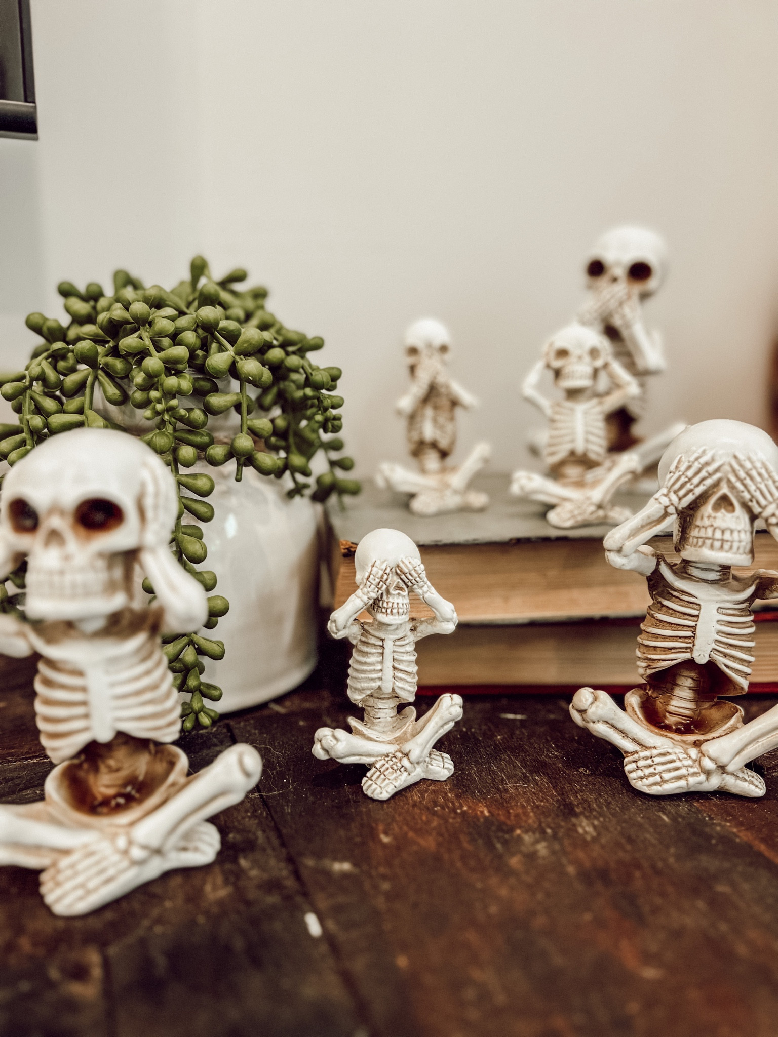 The cutest skellys ☠️
I’m obsessed and don’t think I’ll be sending either set back! smaller set is under $20 and larger set is under $30 

Both super cute and you need them. Duh. 

#LTKfindsunder50 #LTKHoliday #LTKHalloween