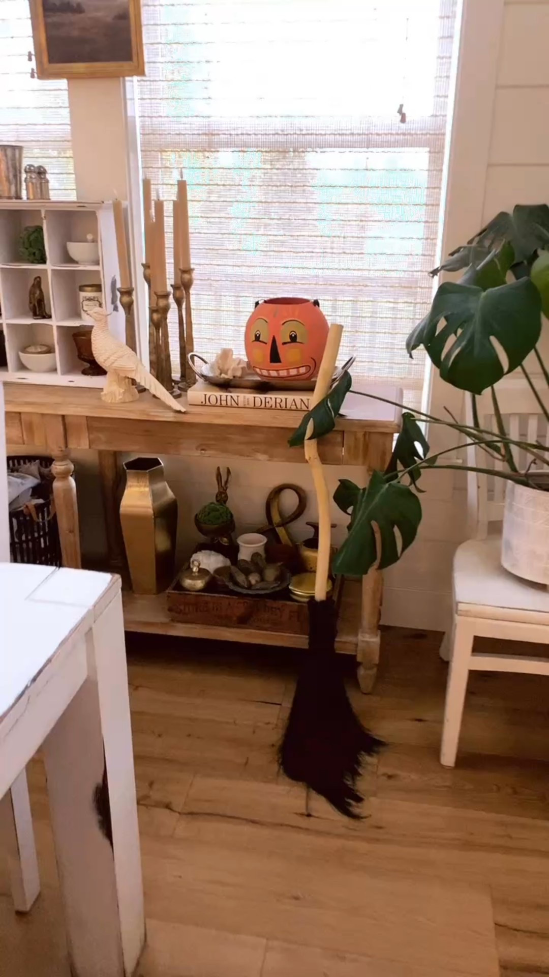 Anthropologie Halloween

#LTKSeasonal #LTKHalloween #LTKHome