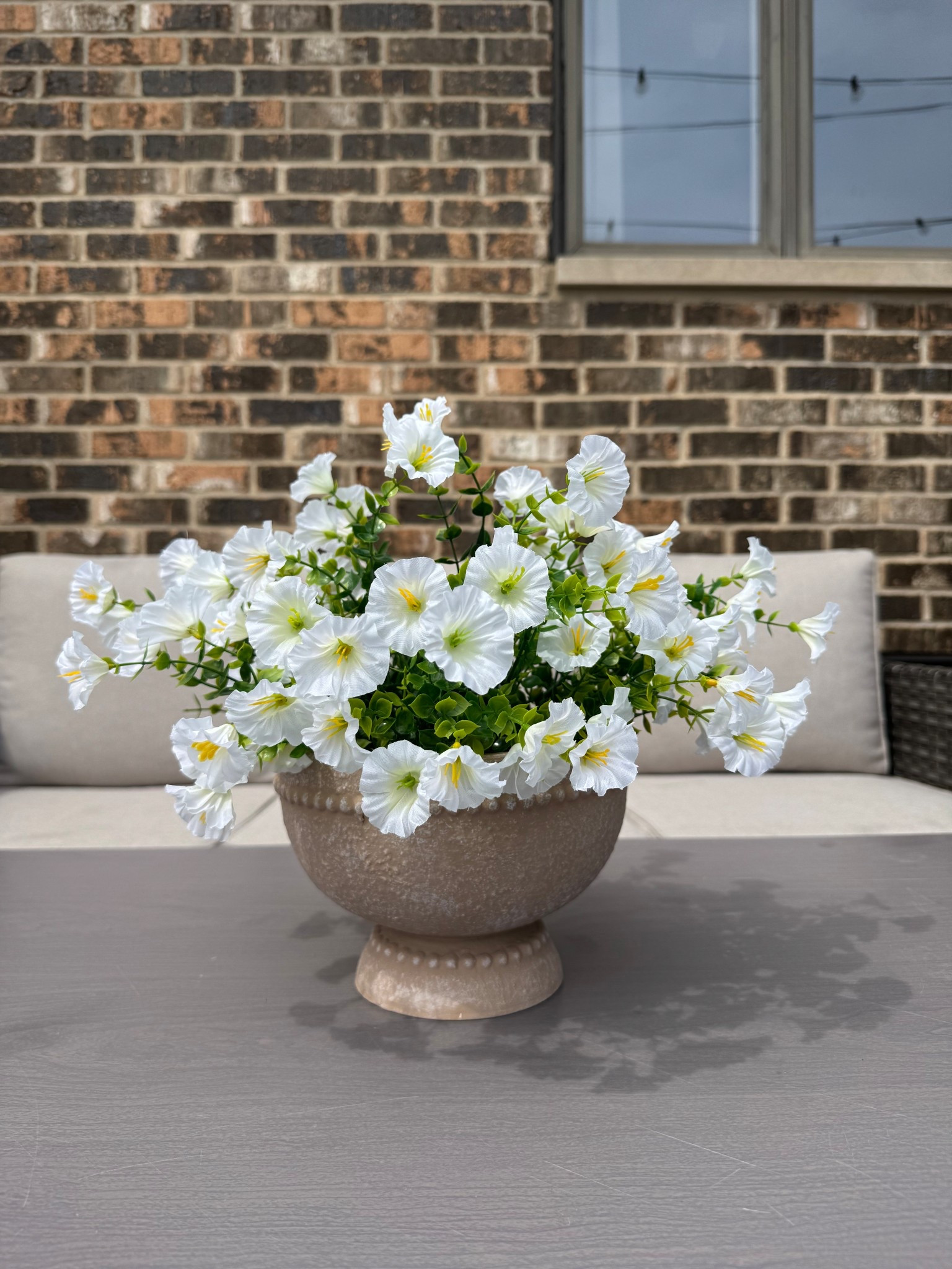 No one will believe these aren’t real 😍

#LTKHome #LTKSaleAlert