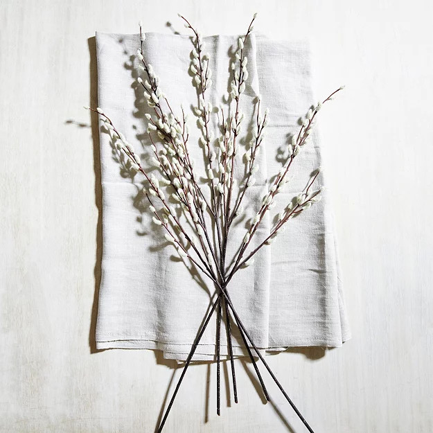Pussy Willow Branches - Set of 5 | The White Company (UK)