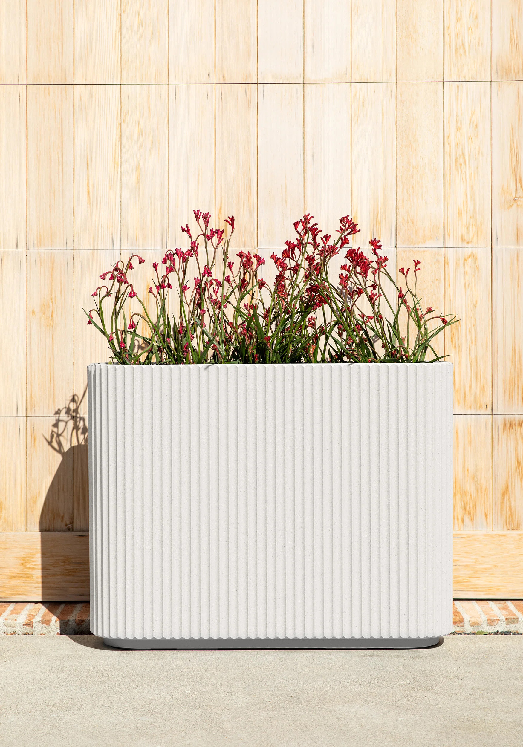 Veradek Demi Series Span Planter | Wayfair North America