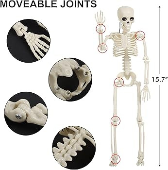 Amazon.com: HOOJO Halloween Skeleton Decorations-4 Packs Full Body Halloween Skeleton with Movabl... | Amazon (US)
