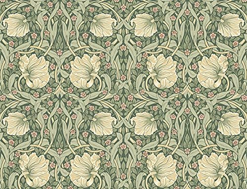 NextWall Pimpernel Floral Peel and Stick Wallpaper (Gardenia & Sage) | Amazon (US)