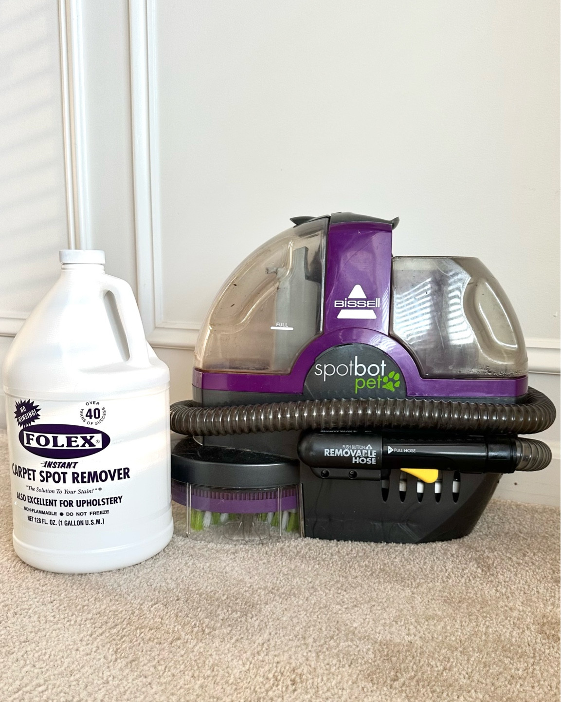 The best hands free carpet cleaner. Pet essentials for keeping rugs and carpets clean. Amazon pet finds  

#LTKhome