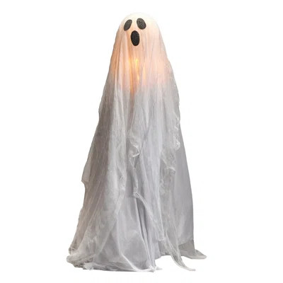 Glowing Ghost Lighted Display | Wayfair Professional