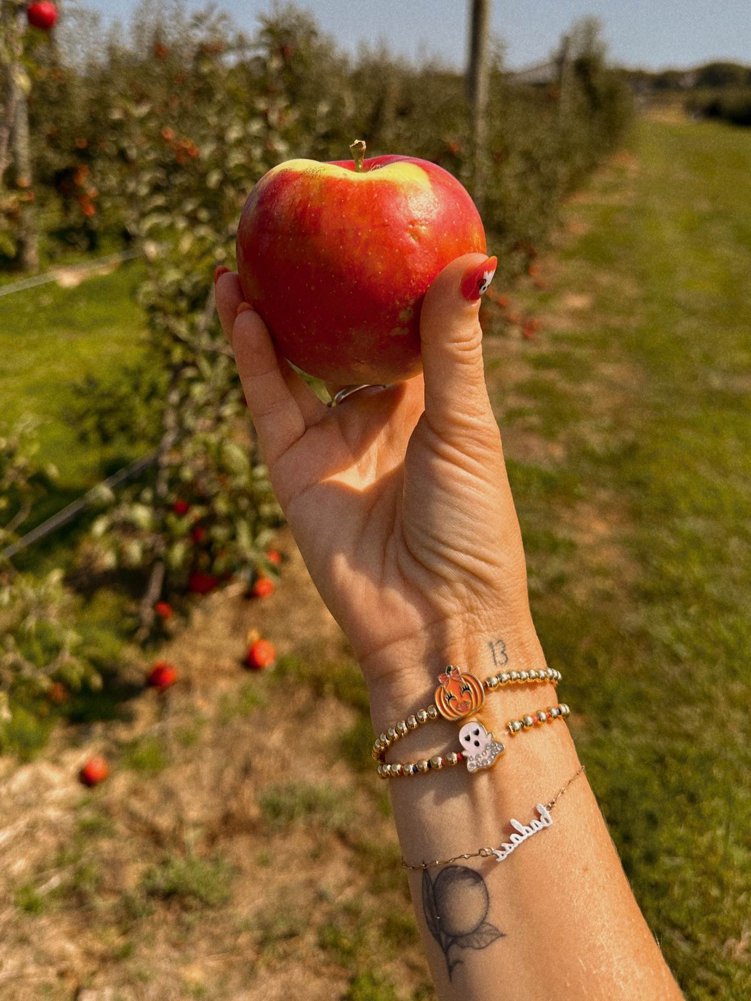 Bauble bar fall is the best! 

#LTKFindsUnder50 #LTKFindsUnder100 #LTKHome