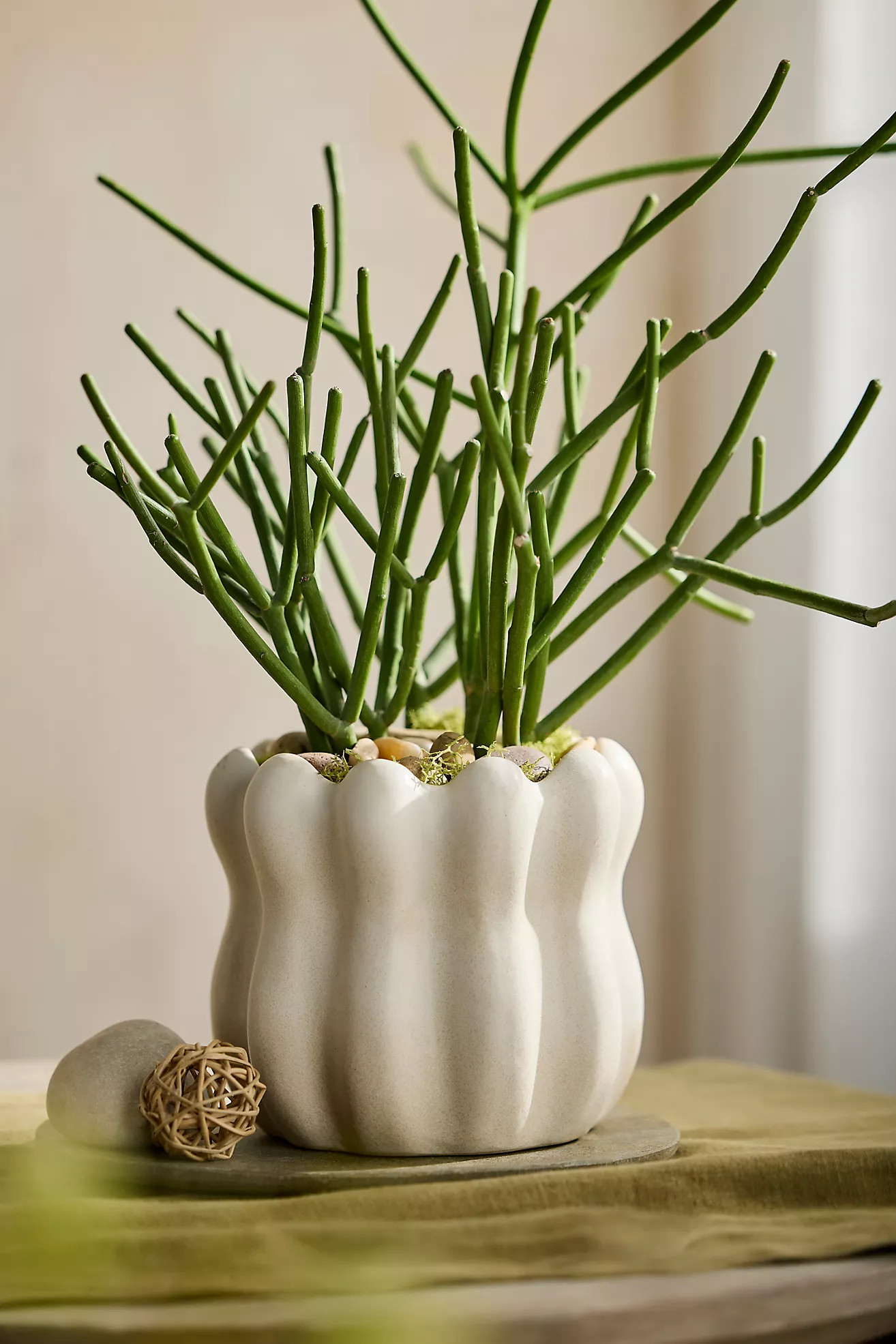 Cinched Ruffles Ceramic Planter | Anthropologie (US)