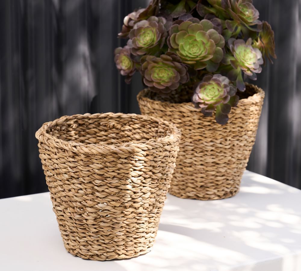 Safi Handwoven Seagrass Planter | Pottery Barn (US)