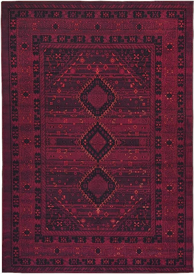 Machine Washable Area Rug with Non Slip Backing & Stain Resistant & Eco Friendly & Family and Pet... | Amazon (US)