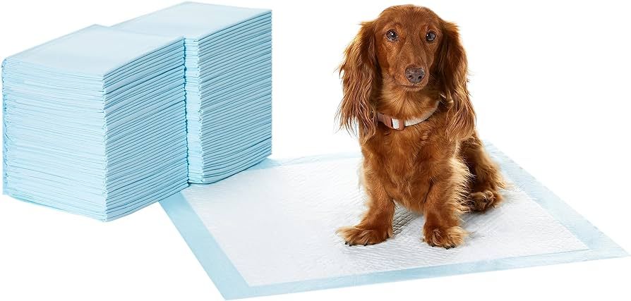 Amazon Basics Dog and Puppy Pee Pads with Leak-Proof Quick-Dry Design for Potty Training, Standar... | Amazon (US)