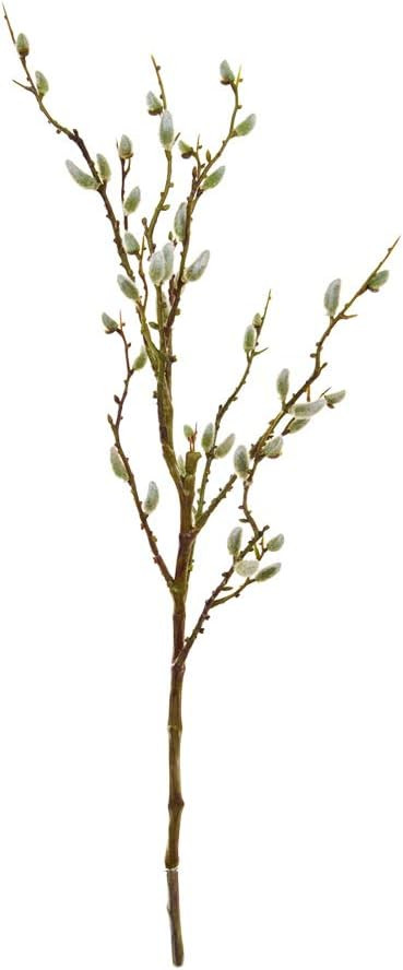 Floristrywarehouse Pussy Willow Branch Artificial 84cm/33 Inches Long | Amazon (US)