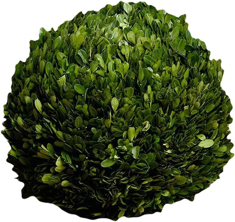 12in Preserved Boxwood Ball | Amazon (US)