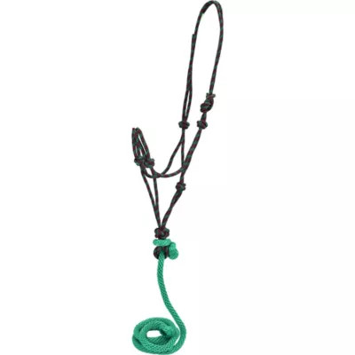 DuMOR  Braided Rope Horse Halter with 7 ft. Detachable Lead, Turquoise/Pink | Tractor Supply