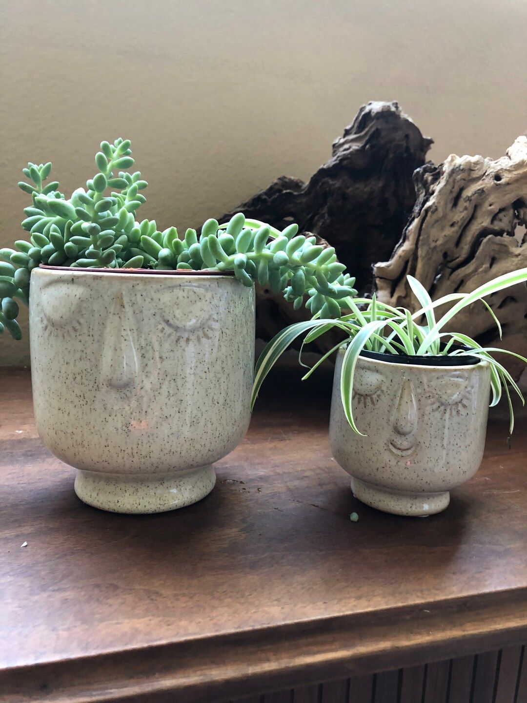 Friendly face planter | Etsy (US)