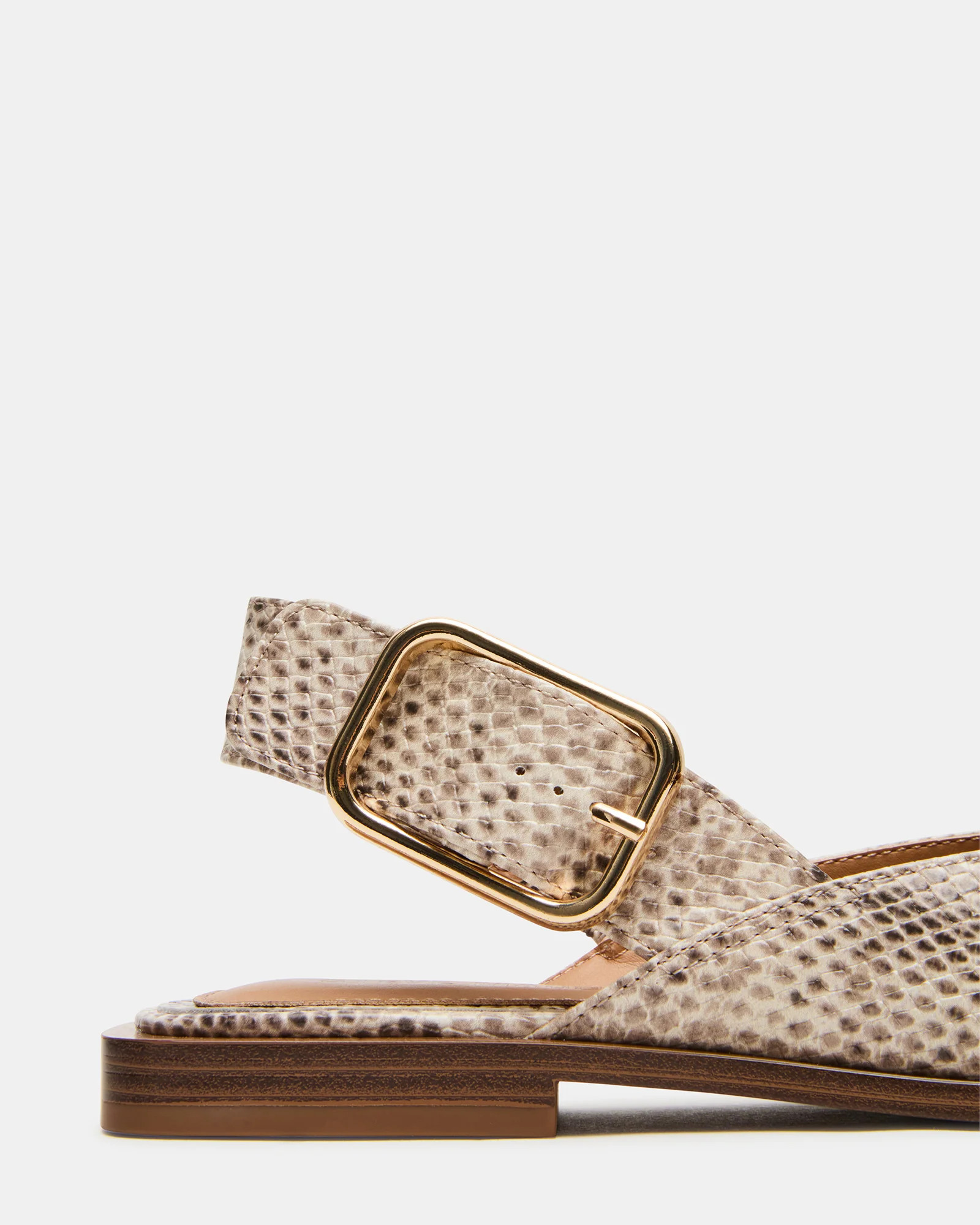 SHAY Snake Pointed-Toe Slingback Ballet Women's Flat | Steve Madden (US)