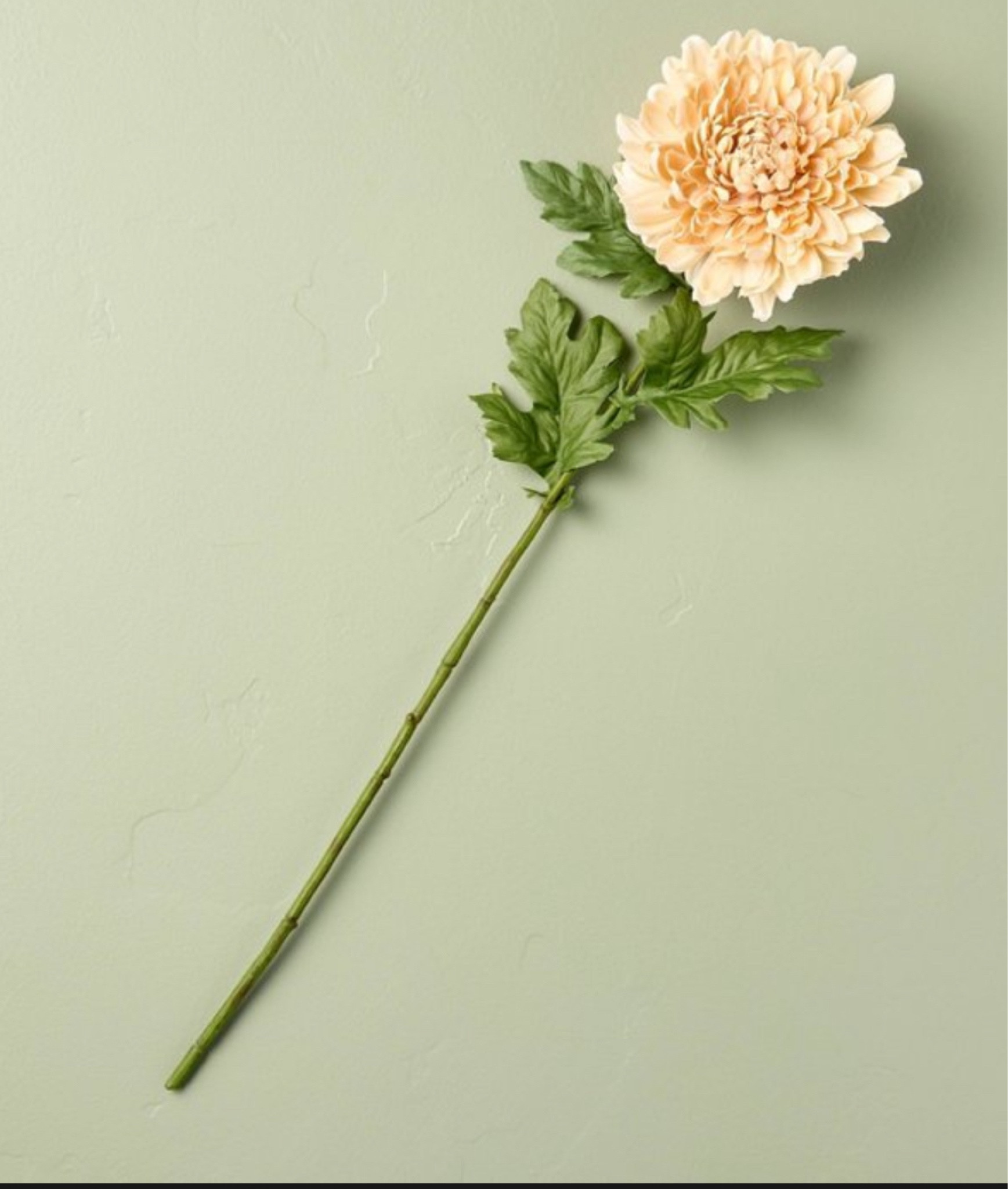 Spring stems are in stock at target! Grab now while they are available! 

I love target for affordable stems. No need to break the bank on stems! Designer pro tip: always arrange in odd numbers: 3 or 5 etc.

#LTKHome #LTKFindsUnder50