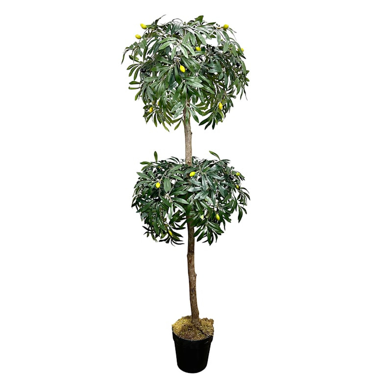 2-Ball Olive Tree Topiary, 5' | At Home