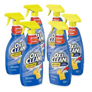 Laundry Fabric Stain Remover Spray, 21.5 fl.oz., 6-Pack | The Home Depot